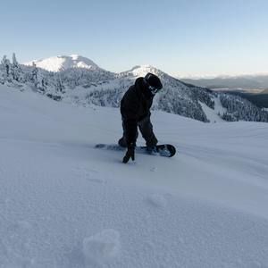 Meet your Posher, Jesse